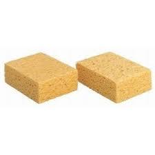 Eponge vegetale pallas athena