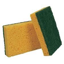 Tampon eponge pallas athena